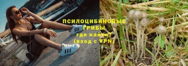 скорость mdpv Белокуриха