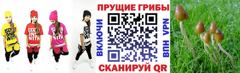 Галлюциногенные грибы прущие грибы  как найти закладки  Волосово 
